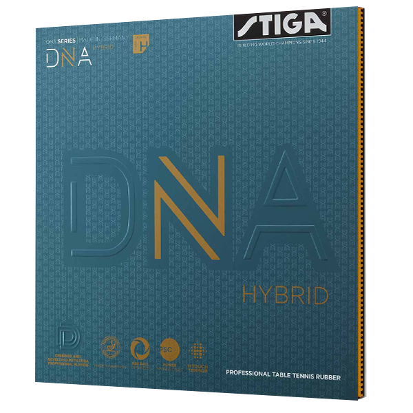 DNA Hybrid H